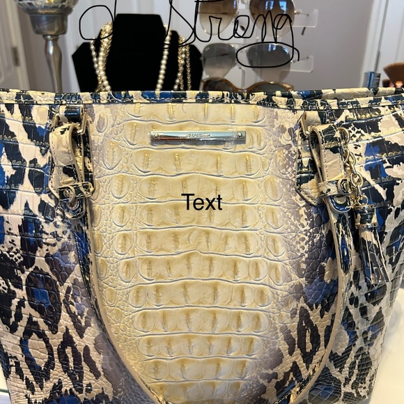 Brahmin Jaguar Ombré - Picture 12 of 13